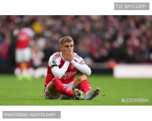 厄德高谈世界杯梦想与膝伤恢复情况期待为国家队贡献力量